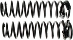 Moog 80997 Rear Coil Spring Set For 1996 - 2000 Honda Civic Models. Fixed Price $99.95.