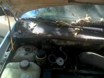 Passenger Strut Front Hatchback Door Excluding Svt Fits 00-04 Focus 151832. Fixed Price $35.00.