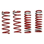 Tanabe (TNF170) NF210 Coil-spring For Lexus. Fixed Price $340.26.