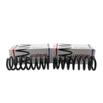 Lesjofors Front Coil Spring Set 4112158. Fixed Price $111.75.