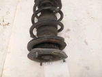 Front Passenger Strut For Mini Cooper Countryman 2011 - 2016 Oem. Fixed Price $88.99.