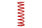 Eibach Spring X 250LB Rear 1300-500-0250 Dirt Circle Track Racing. Fixed Price $98.95.