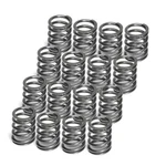 Supertech SPR-TS1015-SI-16 Single Valve Springs Outer (set Of 16). Fixed Price $182.30.