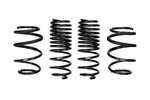 Eibach E10-201-006-01-22 Coil Spring Lowering Kit. Fixed Price $395.00.