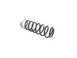 Genuine Mopar Front Coil Spring 68250231AD. Fixed Price $101.85.