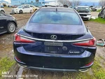 Right Rear Coil/air Spring Oem 19-23 Lexus ES350 1YR Wrnty. Fixed Price $125.00.