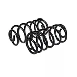 Genuine Acdelco Rear Coil Spring Set 45H3154. Fixed Price $199.86.
