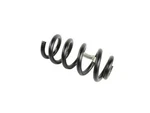 Genuine Mopar Rear Coil Spring Right 68531298AA. Fixed Price $131.20.