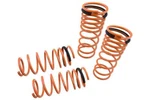 Megan Racing Suspension Lowering Springs For 84-87 Toyota Corolla AE86 All. Fixed Price $2500.00.