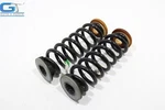 2021 2025 Buick Envision Awd Rear Left & Right Side Coil Spring Oem -set-. Fixed Price $99.99.