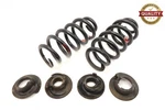 2020 - 2025 Ford Explorer Rear Left & Right Side Coil Spring Set Oem LB5C5560CE. Fixed Price $114.99.