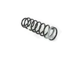 Genuine Mopar Front Coil Spring 68250230AD. Fixed Price $101.85.