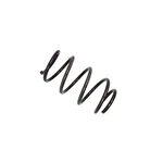 Bilstein 36-129171 B3 Oe Replacement Coil Spring For 99-03 525I 528I 530I 540I. Fixed Price $80.71.