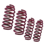Vogtland Sport Lowering Springs 950026 For Audi A4 A5. Fixed Price $424.71.
