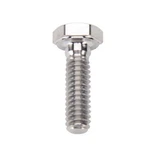 Speedway Titanium Hex Bolt, 1/4-20 7/8 Inch. Fixed Price $15.99.