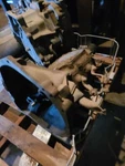 Manual Transmission 3 Speed With 6-240 Fits 65-71 Ford F100 Pickup 1086566. Fixed Price $610.02.