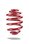 Pedders Suspension PED-2589 Rear Coil Spring. Fixed Price $157.64.