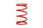 Eibach Ers Linear Main Spring Single (0350.163.0125). Fixed Price $49.00.