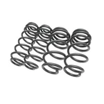 034 Motorsport Dynamic+ Lowering Springs For Audi SQ5 B8. Fixed Price $525.04.