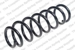 Kilen 51081 Coil Spring For Bmw. Fixed Price $62.22.