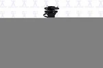 Suspension Strut And Coil Spring Assembly Fcs 1331775R Fits 05-10 Scion Tc. Fixed Price $168.99.