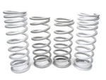 Terrafirma TF042 TF023V Medium Duty Coil Spring Kit For Land Rover Discovery. Fixed Price $309.95.