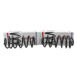 Lesjfors Rear Coil Spring Set 4412158 Chevy Malibu Pontiac G6 Saturn Aura. Fixed Price $65.38.