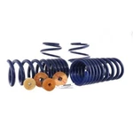 Ford M-5300-YA Track Lowering Spring Kit 2015-2023 Mustang. Fixed Price $342.03.