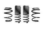 Eibach E10-201-006-01-22 Pro-kit Coil Over Shock Springs. Fixed Price $395.00.
