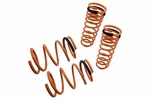 Megan Racing For 04-07 Mitsubishi Galant Cyl Lowering Coilovers Springs. Fixed Price $3165.00.