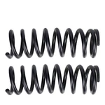 2 Front Coil Springs 1964 Buick Estate Wagon New Pair. Fixed Price $99.99.
