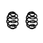 Lesjofors Set Rear Coil Spring 4208435 Fits Bmw E36 Z3 98-02 Std Suspension. Fixed Price $115.95.