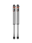 Fox Pair 2.5 Frs A/s Emul 12" 980-02-241. Fixed Price $1342.01.