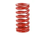 SKUNK2 521-99-1040 Coil-over Race Spring For Honda Civic/acura Integra. Fixed Price $101.99.