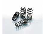 For 540I Coil Lowering Kit / Shock Absorber Eibach Springs 91193RMYK. Fixed Price $362.87.