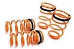 Megan Racing Lowering Springs For 00-06 Nissan Sentra B15 SR20 QG18 QR25. Fixed Price $168.05.