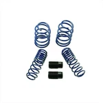 Ford Racing M-5300-KA Coil Spring Kit. Fixed Price $243.36.