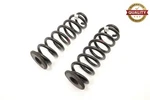 2019-2024 Audi Q3 2.0T Quattro Rear Left & Right Side Coil Spring Set Of Oem. Fixed Price $149.99.