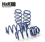 H&r 29527 Race Lowering Springs Set For 98-05 Volkswagen Golf/gti/jetta MK4. Fixed Price $267.95.