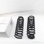 Moog 81112 Coil Spring Set Fits Isuzu Oldsmobile Buick Gmc Chevrolet (2002-2008). Fixed Price $204.24.