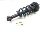 2018-2021 Ford Expedition Max Limited 4WD Right Passenger Rear Shock Strut Oem.. Fixed Price $139.99.