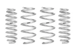 Eibach E30-35-053-01-22 Pro-lift-kit (front & Rear Springs). Fixed Price $399.00.