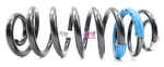 New Oem Gm Rear Suspension Coil Spring 23154237 Tahoe Yukon 15-23 Escalade 15-20. Fixed Price $74.95.