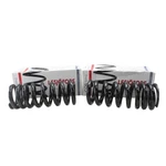 Lesjofors Front Coil Spring Set 4114244. Fixed Price $104.62.