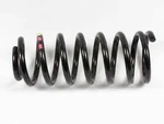 Audi 1992-1998 A6 Quattro Rear Spring 4A5511115S. Fixed Price $195.00.