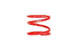 Eibach Coil Spring - Single. Fixed Price $100.21.
