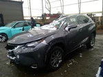 Driver Strut Front Without Sport Package Fits 18-21 NX300 6995095. Fixed Price $179.90.