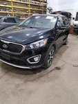 Rh Passenger Side 2017 Sorento Strut SKU#4373521. Fixed Price $81.70.