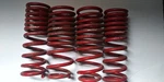 SKUNK2 Fits 92-00 Honda Civic/del Sol Lowering Springs EF9 EG6 EG8 EG9 EK9. Fixed Price $135.99.