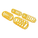 Suspensions 28215042 Coated Steel Alloy Sport Springs. Fixed Price $433.98.